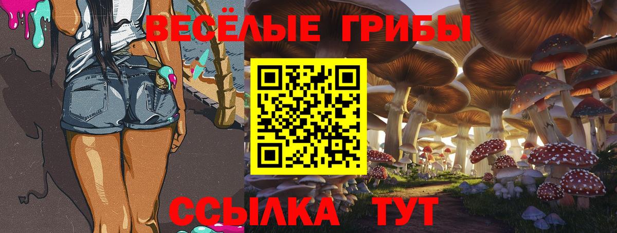Гашиш  Мефедрон  Конопля  Меф МЯУ МЯУ   ГАШ  КЕТАМИН  Вход с VPN  COCAIN  Семёнов  MDMA  A PVP СОЛЬ кристаллы 