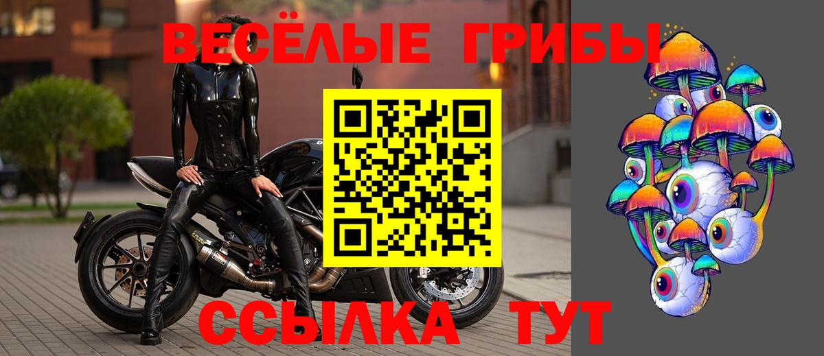 Псилоцибиновые грибы Magic Shrooms  Вход с VPN  Галлюциногенные грибы мухоморы  Семёнов 